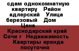 сдам однокомнатную квартиру › Район ­ адлерский › Улица ­ березовый › Дом ­ 17 › Цена ­ 3 000 - Краснодарский край, Сочи г. Недвижимость » Квартиры аренда посуточно   